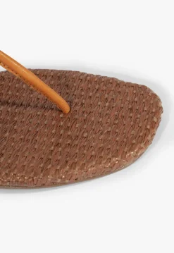 Discount Schutz Elsha Flat Sandal Brown